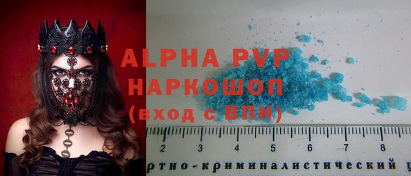 стаф Покровск
