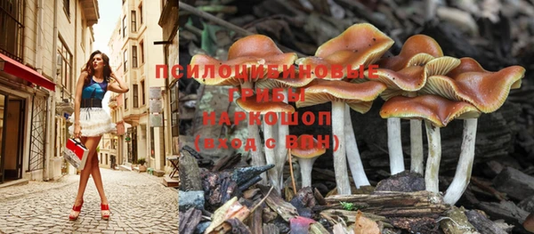 прущая мука Покров