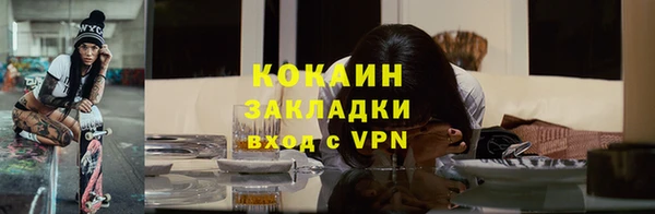индика Болотное