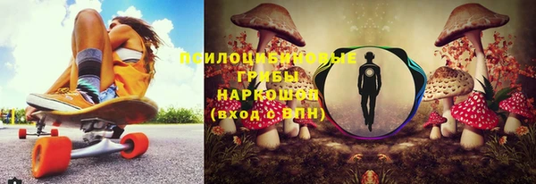 эйфоретик Покачи