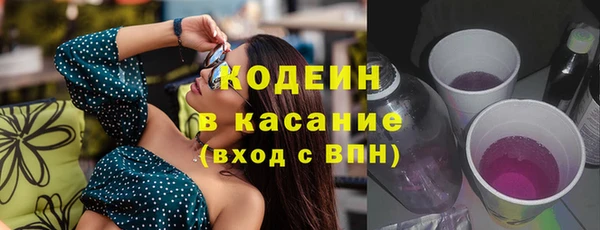эйфоретик Покачи
