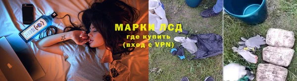 стаф Покровск
