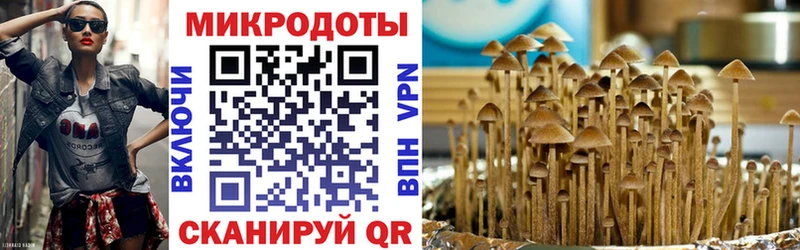 где можно купить наркотик  Осташков  Псилоцибиновые грибы Psilocybine cubensis 